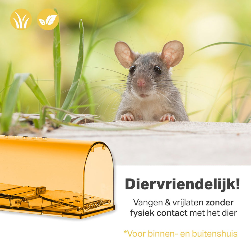 2-Pack Diervriendelijke muizenval voor binnen & buiten - Muizenvallen - Muizenverjager - Mouse trap - Oranje