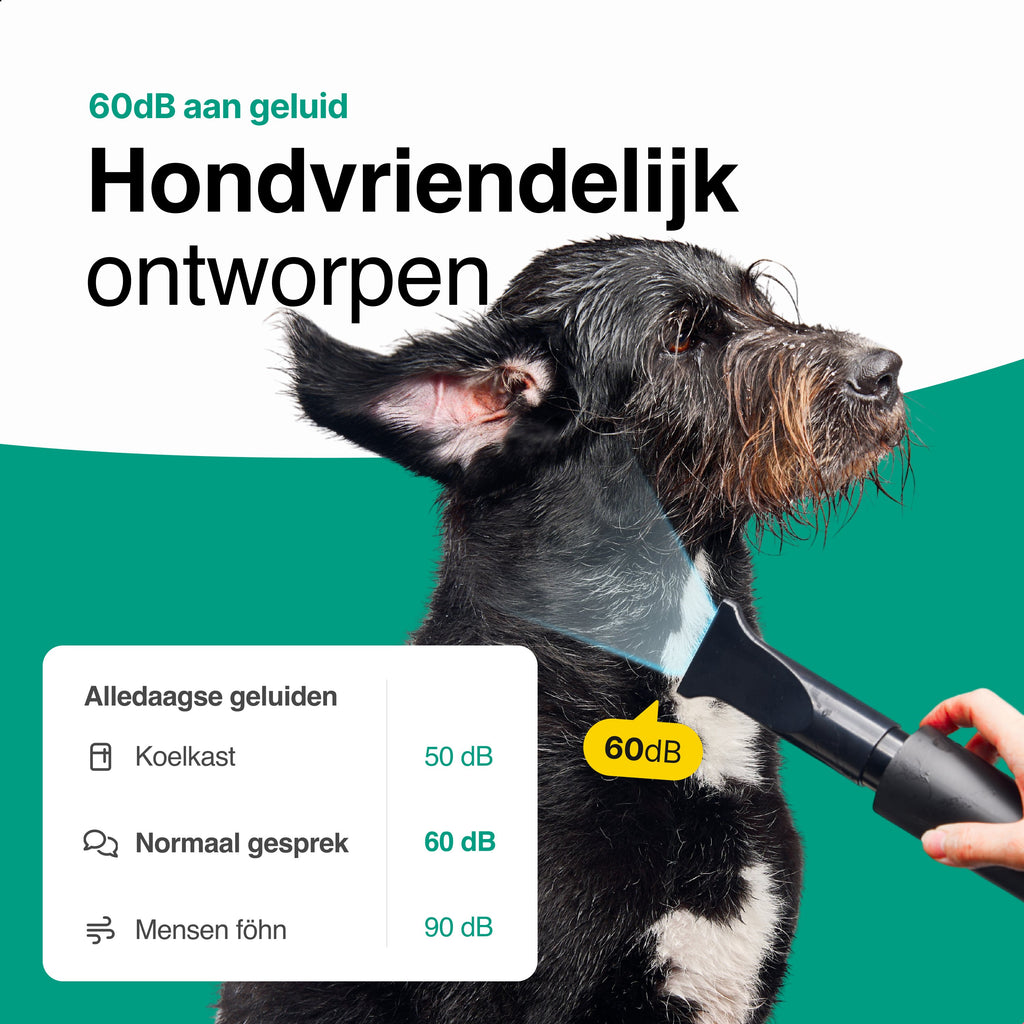 Hondenfohn met geluidsdemper 2800W - Waterblazer hond - Zwart - Vivid Green