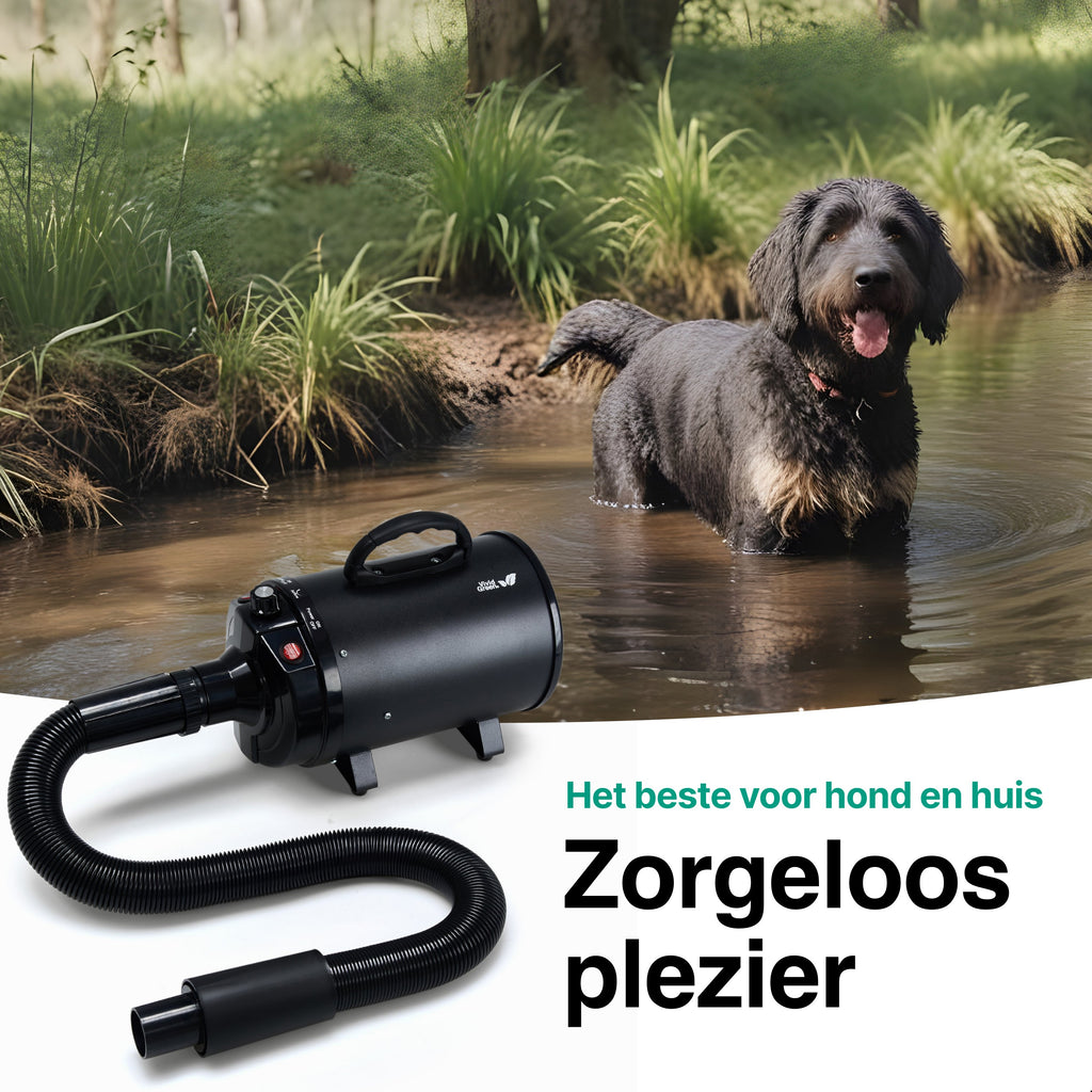 Hondenfohn met geluidsdemper 2800W - Waterblazer hond - Zwart - Vivid Green
