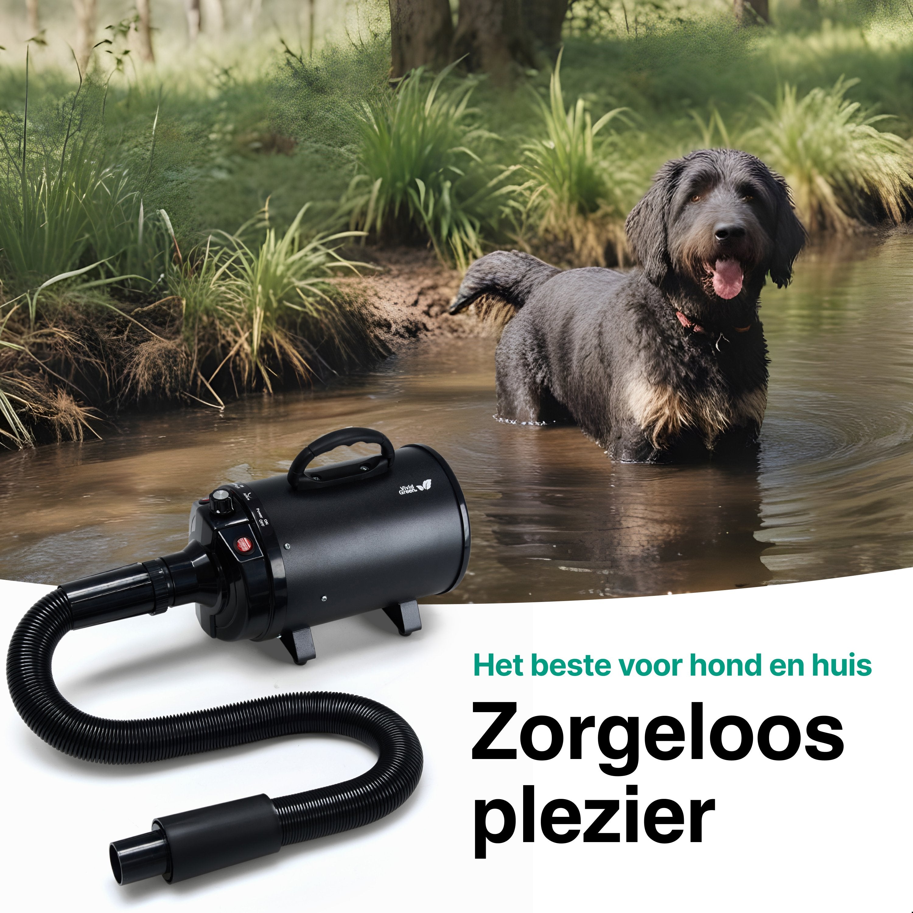 Hondenfohn met geluidsdemper 2800W - Waterblazer hond - Zwart - Vivid Green