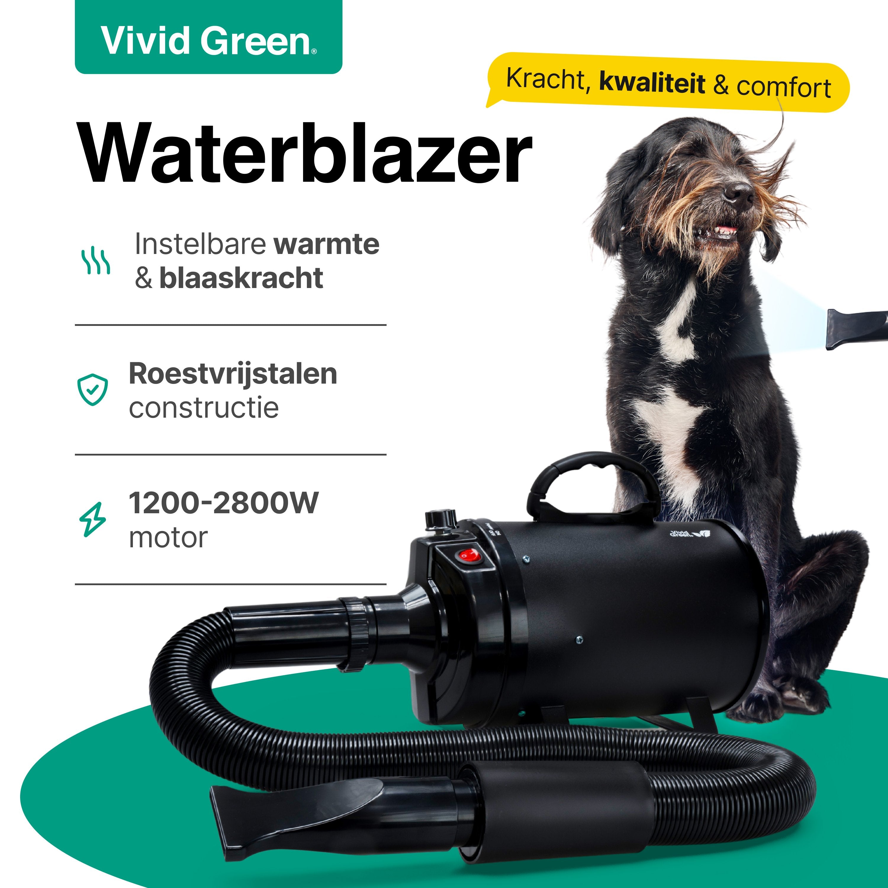 Hondenfohn met geluidsdemper 2800W - Waterblazer hond - Zwart - Vivid Green