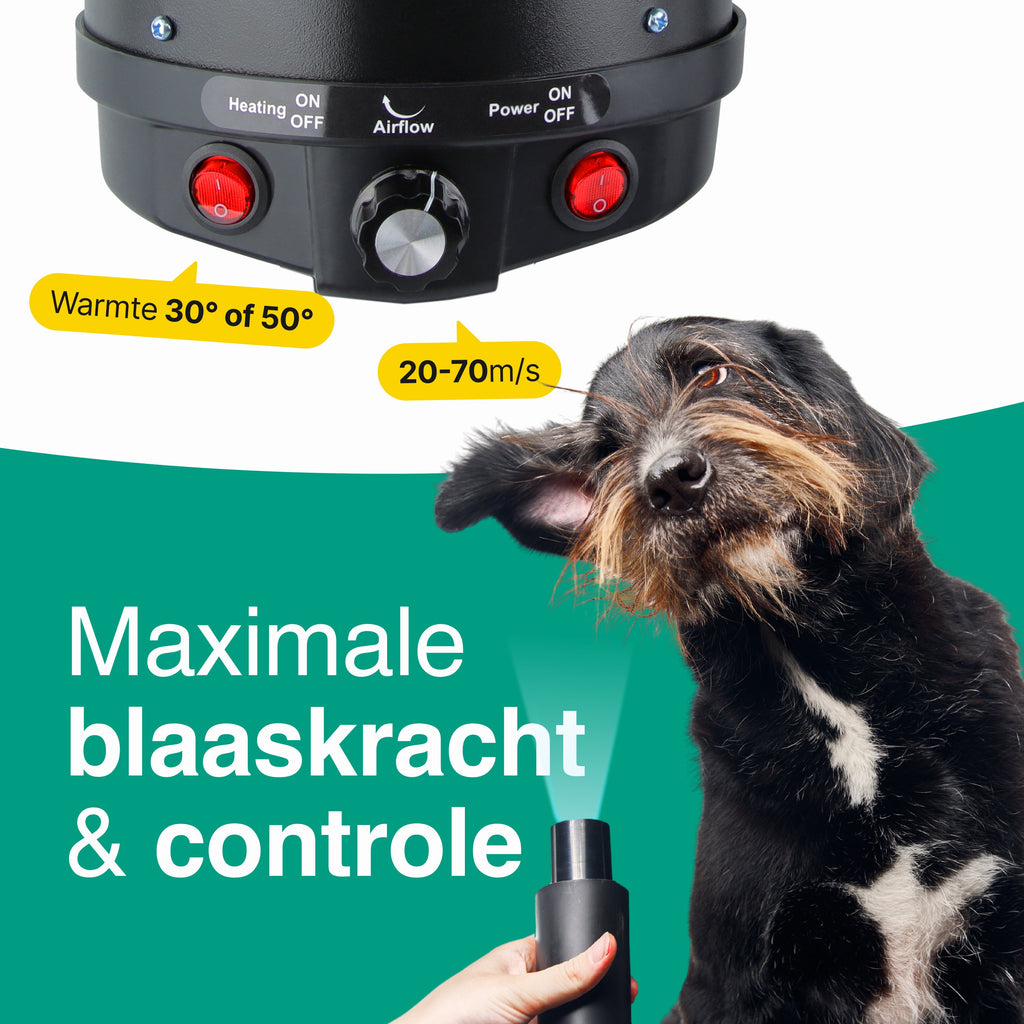 Hondenfohn met geluidsdemper 2800W - Waterblazer hond - Zwart - Vivid Green