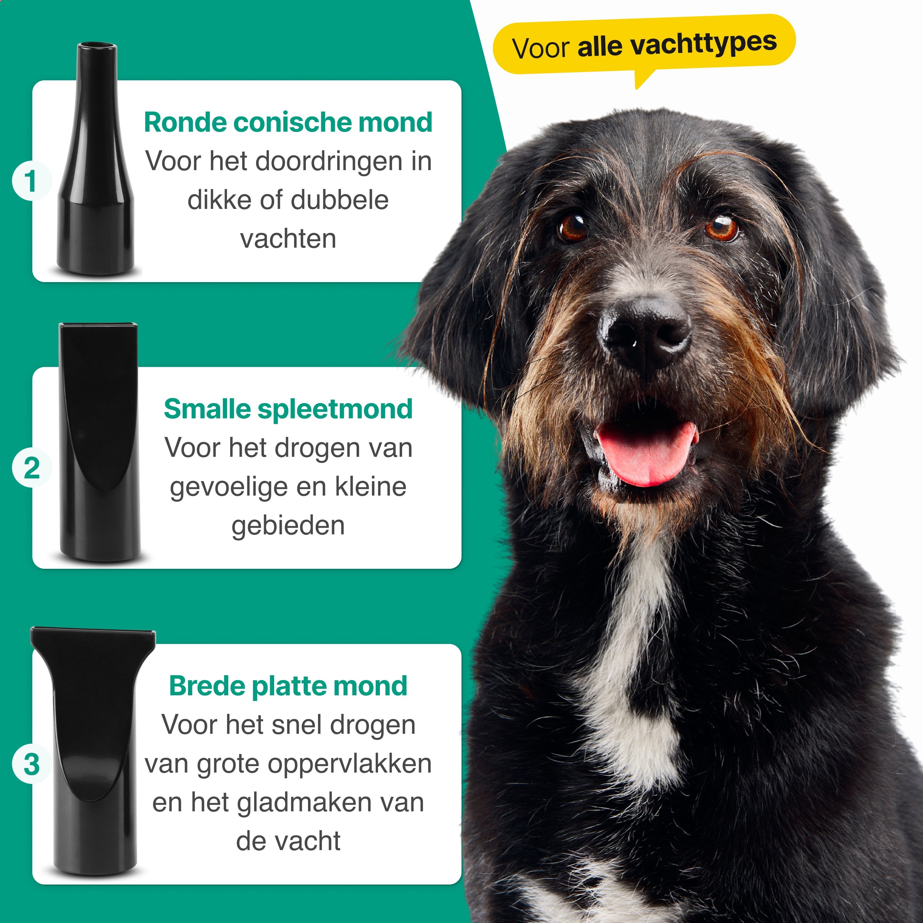 Hondenfohn met geluidsdemper 2800W - Waterblazer hond - Zwart - Vivid Green