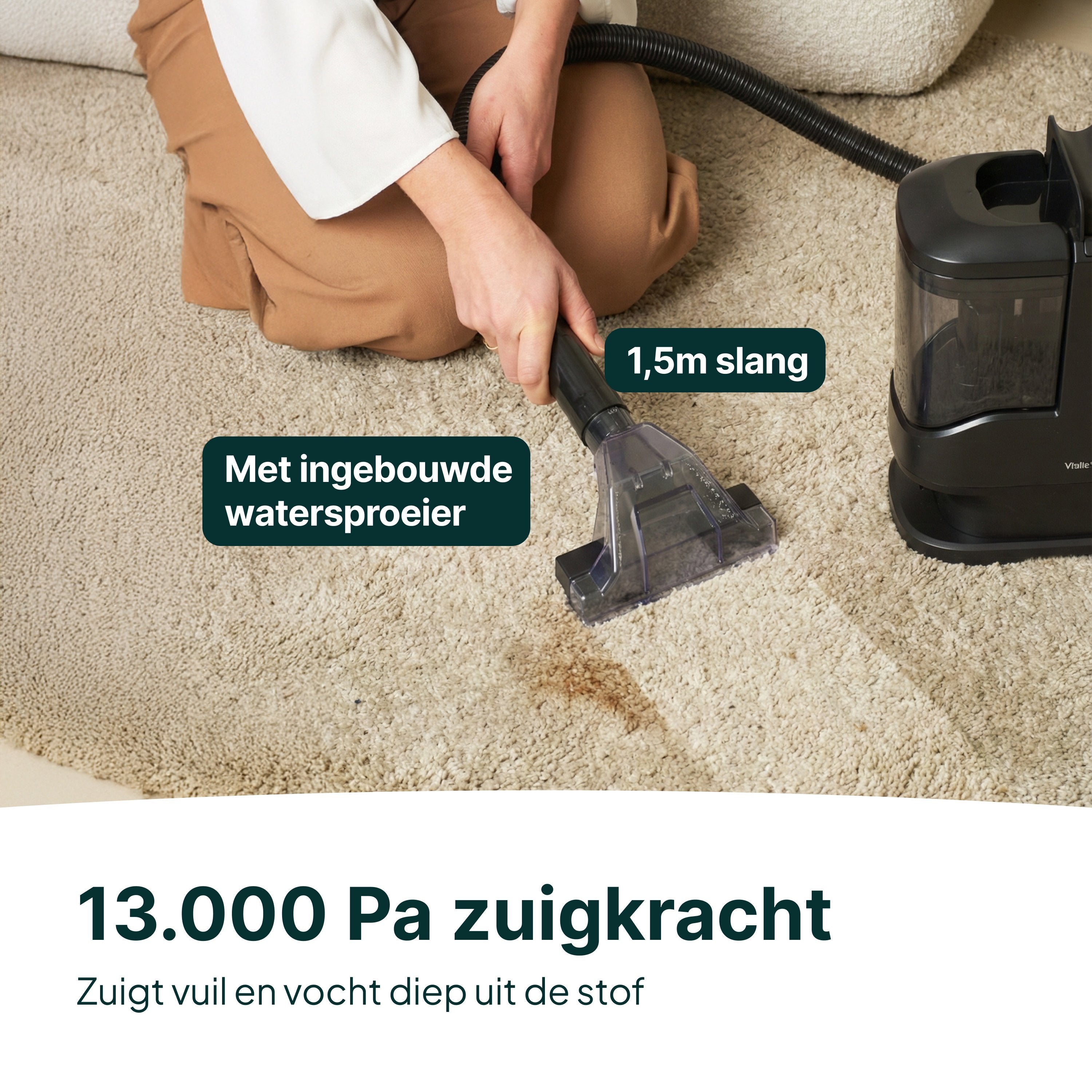 Vlekkenreiniger 450W